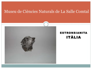 ESTRONSIANITA
ITÀLIA
Museu de Ciències Naturals de La Salle Comtal
 