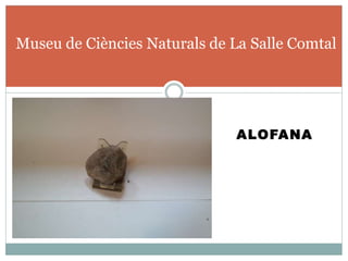 ALOFANA
Museu de Ciències Naturals de La Salle Comtal
 