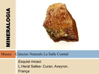 Esquist micaci
L.Heral Salles- Curan, Aveyron.
França
MINERALOGIA
Museu Ciències Naturals La Salle Comtal
 