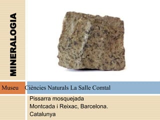 Pissarra mosquejada
Montcada i Reixac, Barcelona.
Catalunya
Fosforita
(PO4)3Cl Ca5
St. Antonin,França
MINERALOGIA
Museu Ciències Naturals La Salle Comtal
 