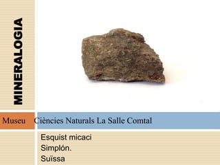 Esquist micaci
Simplón.
Suïssa
MINERALOGIA
Museu Ciències Naturals La Salle Comtal
 