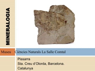Pissarra
Sta. Creu d’Olorda, Barcelona.
Catalunya
MINERALOGIA
Museu Ciències Naturals La Salle Comtal
 