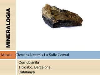 Cornubianita
Tibidabo, Barcelona.
Catalunya
MINERALOGIA
Museu Ciències Naturals La Salle Comtal
 