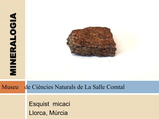 Esquist micaci
Llorca, Múrcia
Museu de Ciències Naturals de La Salle Comtal
MINERALOGIA
 