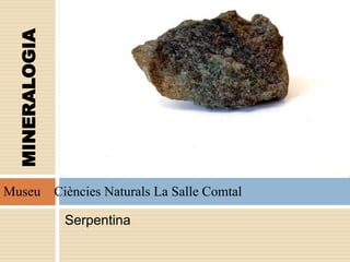 Serpentina
MINERALOGIA
Museu Ciències Naturals La Salle Comtal
 