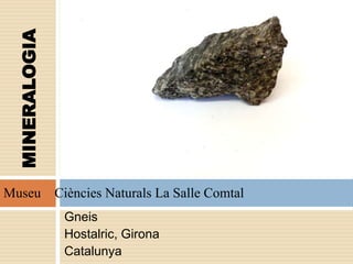 Gneis
Hostalric, Girona
Catalunya
MINERALOGIA
Museu Ciències Naturals La Salle Comtal
 