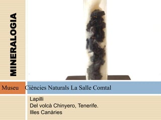 Lapilli
Del volcà Chinyero, Tenerife.
Illes Canàries
MINERALOGIA
Museu Ciències Naturals La Salle Comtal
 