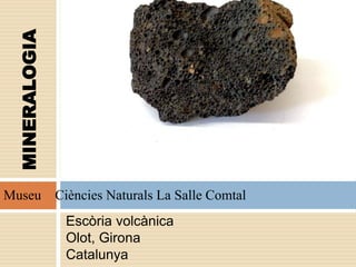 Escòria volcànica
Olot, Girona
Catalunya
MINERALOGIA
Museu Ciències Naturals La Salle Comtal
 