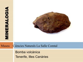 Bomba volcànica
Tenerife, Illes Canàries
MINERALOGIA
Museu Ciències Naturals La Salle Comtal
 