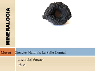 Lava del Vesuvi
Itàlia
MINERALOGIA
Museu Ciències Naturals La Salle Comtal
 