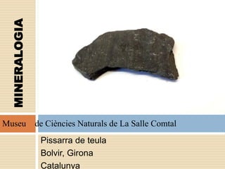 Pissarra de teula
Bolvir, Girona
Catalunya
Museu de Ciències Naturals de La Salle Comtal
MINERALOGIA
 