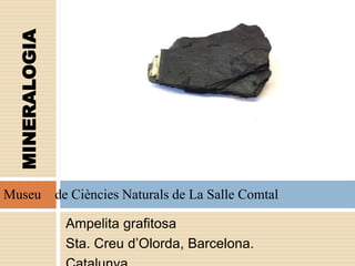 Ampelita grafitosa
Sta. Creu d’Olorda, Barcelona.
MINERALOGIA
Museu de Ciències Naturals de La Salle Comtal
 