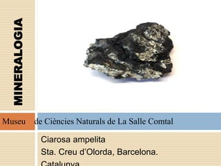 Ciarosa ampelita
Sta. Creu d’Olorda, Barcelona.
Museu de Ciències Naturals de La Salle Comtal
MINERALOGIA
 
