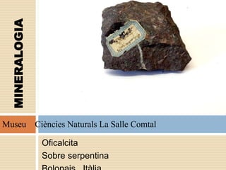 Oficalcita
Sobre serpentina
Museu Ciències Naturals La Salle Comtal
MINERALOGIA
 