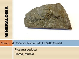 Pissarra sedosa
Llorca, Múrcia
Museu de Ciències Naturals de La Salle Comtal
MINERALOGIA
 