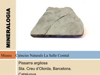 Pissarra argilosa
Sta. Creu d’Olorda, Barcelona.
MINERALOGIA
Museu Ciències Naturals La Salle Comtal
 