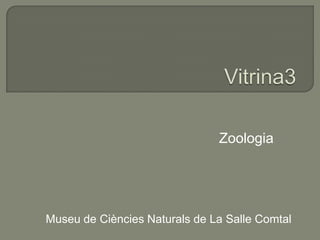Zoologia
Museu de Ciències Naturals de La Salle Comtal
 
