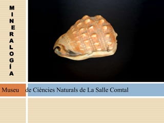 Museu de Ciències Naturals de La Salle Comtal
M
I
N
E
R
A
L
O
G
Í
A
 
