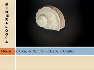 M
I
N
E
R
A
L
O
G
Í
A
Museu de Ciències Naturals de La Salle Comtal
 