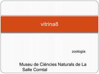 zoología
vitrina8
Museu de Ciències Naturals de La
Salle Comtal
 