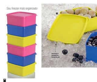 48
Resistente a
baixíssimas
temperaturas
1
Seu freezer mais organizado
 