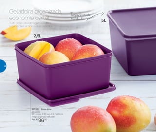 802662 | Basic Line
2,5 Litros
21,3 comp. X 20 larg. X 9,7 alt. (cm)
Preço sugerido: R$52,00
Por: R$
36,00
2,5L
5L
Tampaslevemente
translúcidas
Tudo no seu devido lugar! Geladeira
organizada é sinônimo de praticidade.
Geladeira organizada,
economia certa!
44
 
