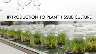 Introduction to plant tissue culture.pptx