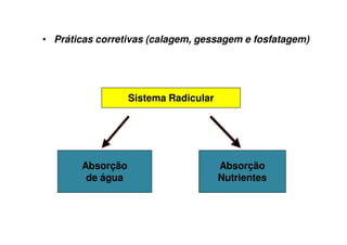 Sistema Radicular
Absorção
de água
Absorção
Nutrientes
• Práticas corretivas (calagem, gessagem e fosfatagem)
 