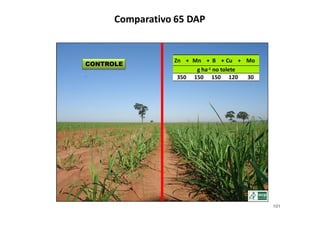 101
5 7 0 - .< K)
> + > > 5 > +
6 1 ( ' '
%)A ()A ()A (&A %A
 