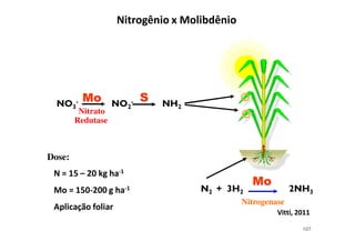 107
.- 6H . " + . H .
*' +,-' '*-,
Nitrogenase
N. .N. .B &A((B &A((
() &A @6 1 (
+ ()A &AA 6 1 (
0 ./ # . -
Dose:
* ,
. * '
. *-'
Nitrato
Redutase
 