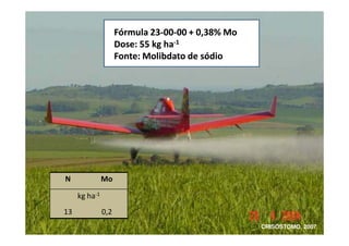 D-7 &% AA AA > AB%EC +
*'= )) @6 1 (
'= + . ' *D .
D-7 &% AA AA > AB%EC +
*'= )) @6 1 (
'= + . ' *D .
CRISÓSTOMO, 2007
+
;&
 