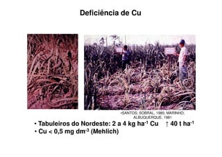 Deficiência de Cu
•SANTOS; SOBRAL, 1980; MARINHO;
ALBUQUERQUE, 1981
• Tabuleiros do Nordeste: 2 a 4 kg ha-1 Cu 40 t ha-1
• Cu < 0,5 mg dm-3 (Mehlich)
 