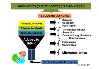 “ESQUEMA DO FUNIL”
Práticas Corretivas
Calagem
Gessagem
Fosfatagem
Adubação
N-P-K Implantação
Manutenção
Micronutrientes
M
i
c
r
o
Elevar o potencial de resposta
RECOMENDAÇÃO DE CORREÇÃO E ADUBAÇÃO
Adubação Verde
Adubação Orgânica
Cama de frango/Poedeira/
Confinamento
Crotalária juncea/Soja
Amendoim
Fonte: P.H. Luz 2009
 