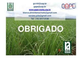 OBRIGADOOBRIGADO
gcvitti@usp.br
gape@usp.br
www.gape-esalq.usp.br
bianca.almeidamachado@gmail.com
savieto.julia@gmail.com
Tel: (19) 3417-2138
 