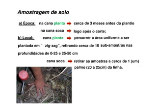 a) Época: na cana planta cerca de 3 meses antes do plantio
na cana soca logo após o corte;
b) Local: cana planta percorrer a área uniforme a ser
plantada em “ zig-zag”, retirando cerca de 15 sub-amostras nas
profundidades de 0-25 e 25-50 cm
cana soca retirar as amostras a cerca de 1 (um)
palmo (20 a 25cm) da linha.
Amostragem de solo
 