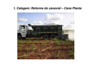 1. Calagem: Reforma do canavial – Cana Planta
 