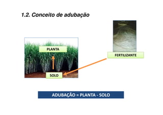 1.2. Conceito de adubação
 
