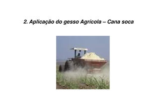 2. Aplicação do gesso Agrícola – Cana soca
 