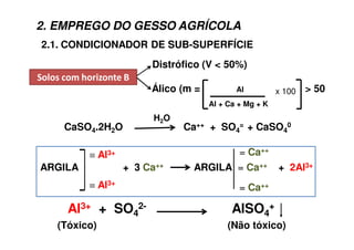 2.1. CONDICIONADOR DE SUB-SUPERFÍCIE
*/ 7 1 -.? '*/ 7 1 -.? '
Distrófico (V < 50%)
Álico (m = Al > 50
Al + Ca + Mg + K
2. EMPREGO DO GESSO AGRÍCOLA
ARGILA + 3 Ca++ ARGILA = Ca++ + 2Al3+
Al3+
Al3+ = Ca++
= Ca++
x 100
Al3+ + SO4
2- AlSO4
+
(Tóxico) (Não tóxico)
CaSO4.2H2O Ca++ + SO4
= + CaSO4
0
H2O
 