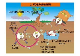 3. FOSFATAGEM3. FOSFATAGEM
P NO
FERTILIZANTE
P NA SOLUÇÃO DO
SOLO
P
LÁBIL
P NA EROSÃO E
NA ÁGUA DE
DRENAGEM
P NÃO
LÁBIL
FASE
SÓLIDA
DO SOLO
DESTINO DO P NO SOLO
 