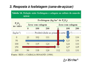 &) 1 (
3. Resposta à fosfatagem (cana-de-açúcar)
 