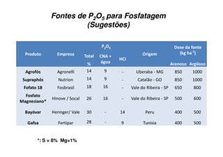 Fontes de P2O5 para Fosfatagem
(Sugestões)
- 7 0-'*
& )
-.6'7
*' # '
@6 1 (
!
5 >
26
$5.
C -' * -6. *
6- #D* %& ' ( ( ) * +!
0- 01D* , ' - . */ +!
# (E 0 ( + " 1 ( 23 "! +
*#
+ 6 '*. F
4 5 62 " " 1 ( 23 ! "
GD< - 4 & 6 ' 3 ' !
8 #* 0 + 7 ' !
*: S = 8% Mg=1%
 
