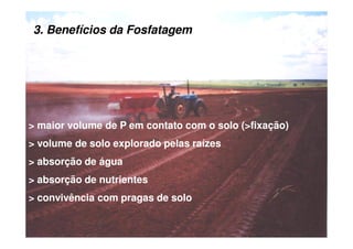 3.3. Benefícios daBenefícios da FosfatagemFosfatagem
> maior volume de P em contato com o solo (>fixação)> maior volume de P em contato com o solo (>fixação)
> volume de solo explorado pelas raízes> volume de solo explorado pelas raízes
> absorção de água> absorção de água
> absorção de nutrientes> absorção de nutrientes
> convivência com pragas de solo> convivência com pragas de solo
 