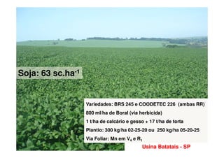 SojaSoja: 63 sc.ha: 63 sc.ha--11
UsinaUsina BatataisBatatais -- SPSP
Variedades: BRS 245 e COODETEC 226 (ambas RR)
800 ml/ha de Boral (via herbicida)
1 t/ha de calcário e gesso + 17 t/ha de torta
Plantio: 300 kg/ha 02-25-20 ou 250 kg/ha 05-20-25
Via Foliar: Mn em V4 e R1
 