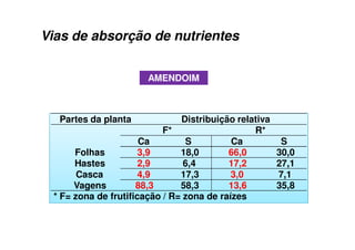 AMENDOIM
Partes da planta Distribuição relativa
F* R*
Ca S Ca S
Folhas 3,9 18,0 66,0 30,0
Hastes 2,9 6,4 17,2 27,1
Casca 4,9 17,3 3,0 7,1
Vagens 88,3 58,3 13,6 35,8
* F= zona de frutificação / R= zona de raízes
Vias de absorção de nutrientes
 