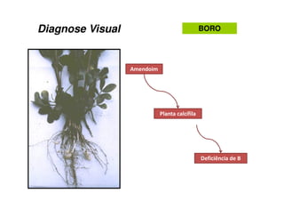 '#./.H /. '
/ /I#.
7 ' .7
Diagnose Visual BORO
 