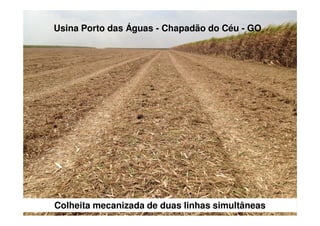 Colheita mecanizada de duas linhas simultâneas
Usina Porto das Águas - Chapadão do Céu - GO
 