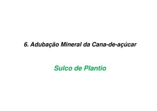 6. Adubação Mineral da Cana-de-açúcar
Sulco de Plantio
 