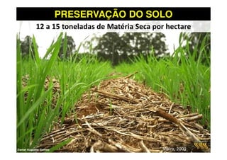 PRESERVAÇÃO DO SOLO
(& () ' * ' + ,-. '/ 0 -1'/ -'
 