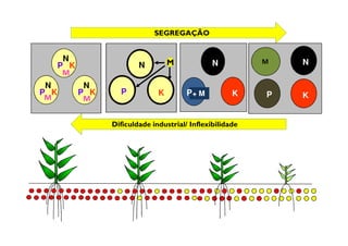 N
P K
N
P K
N
P K
++
++
++
N
K+ MP
N
P K
! " #$
N
P K
+
 